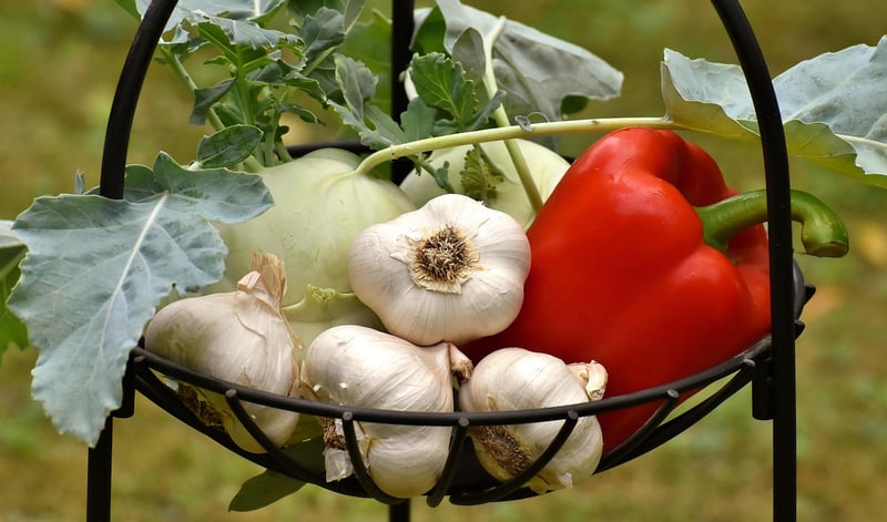 Organic Vegetables